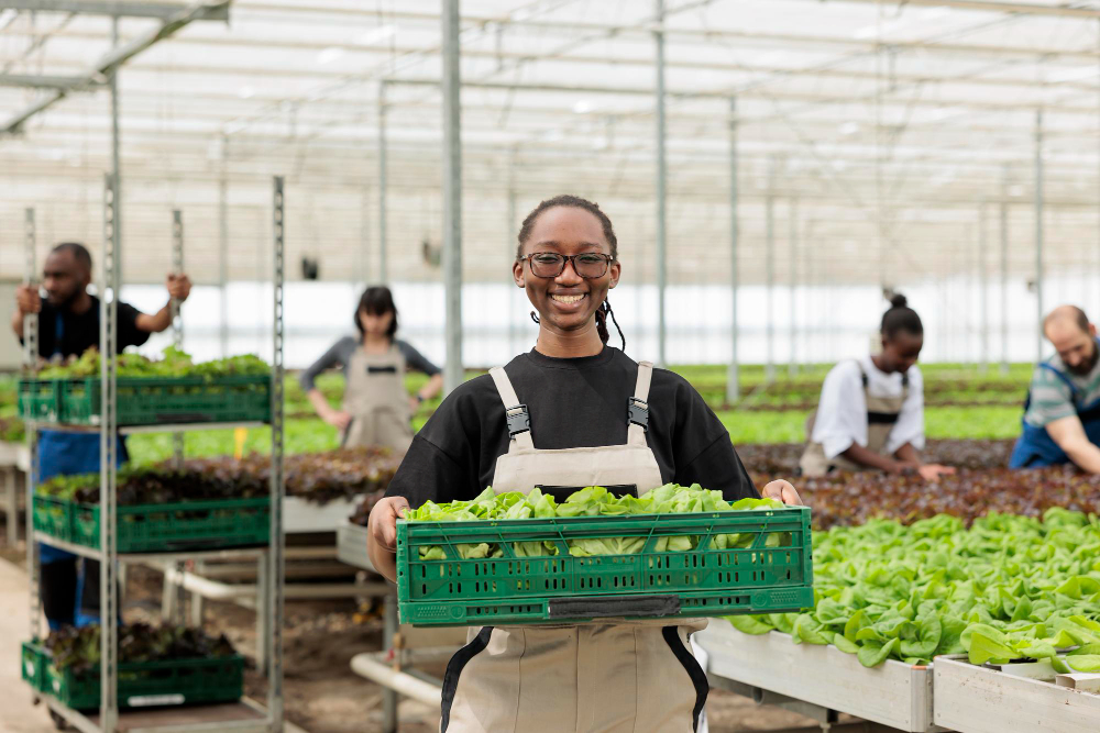 a business woman holding fresh agro-produce in a crate
