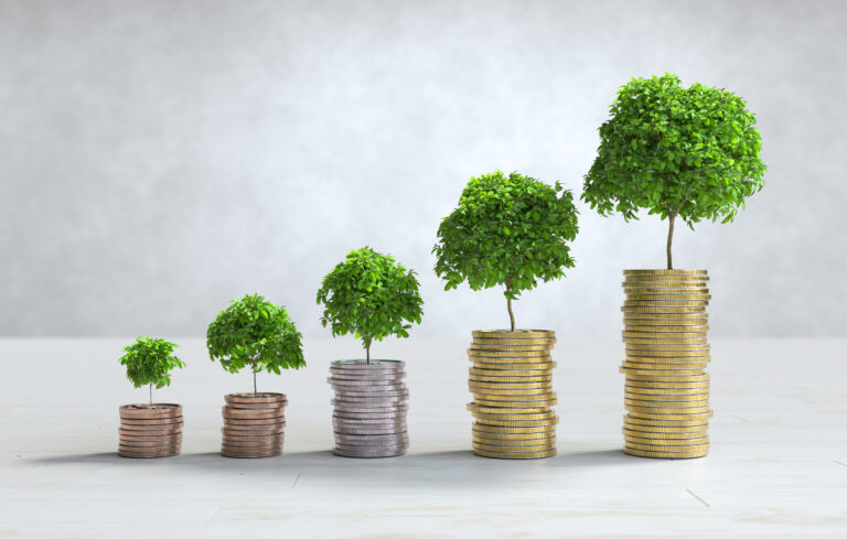 Investment portfolio